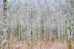 Painted in Waterlogue