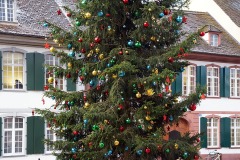 pre-christmas_06Dec23
