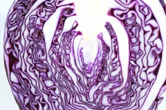 red-cabbage_10Sep25