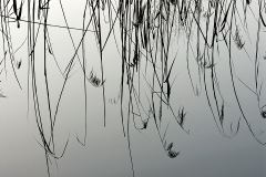 reflections_01Apr13