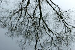 reflections_31Mar13