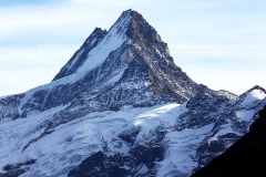 schreckhorn_19Nov18