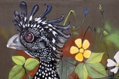 street-art_26Feb25