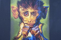 street-art_31Jan25