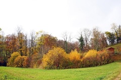 swiss-jura_22Nov22