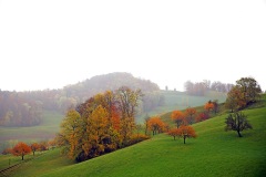 swiss-jura_23Nov22