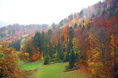 swiss-jura_24Nov23