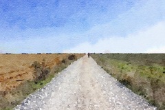 Painted in Waterlogue