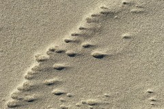 vlieland_08Dec25