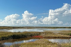 vlieland_11Dec25