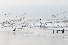 vlieland_18Dec25