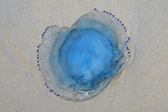 vlieland_22Dec25