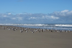 vlieland_23Okt21a