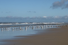vlieland_23Okt21b