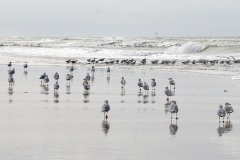 vlieland_23Okt23