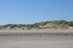 vlieland_27Oct21b
