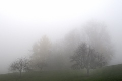 wafts-of-mist_22Nov24