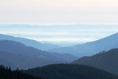 wiesetal_11Nov21