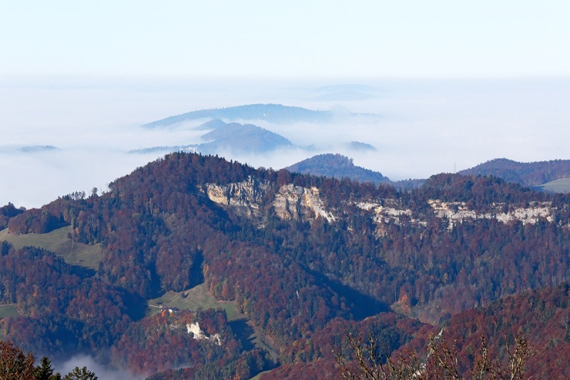 SwJu-4142-15Nov16