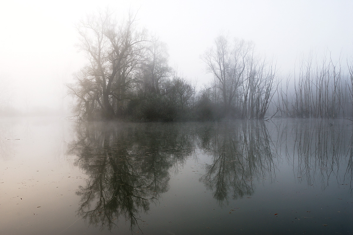 Daybreak in the Petite Camargue (1)