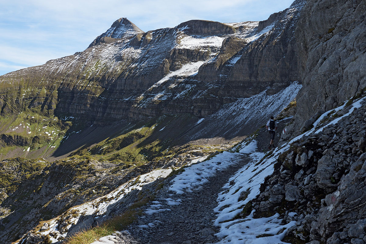 From Schynige Platte to Grindelwald First (Bernese Alps) (3)