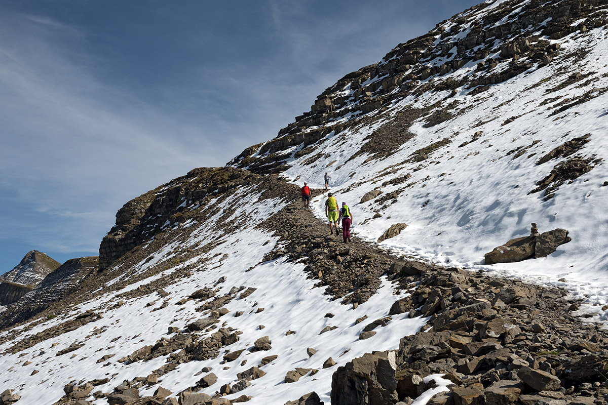 From Schynige Platte to Grindelwald First (Bernese Alps) (4)