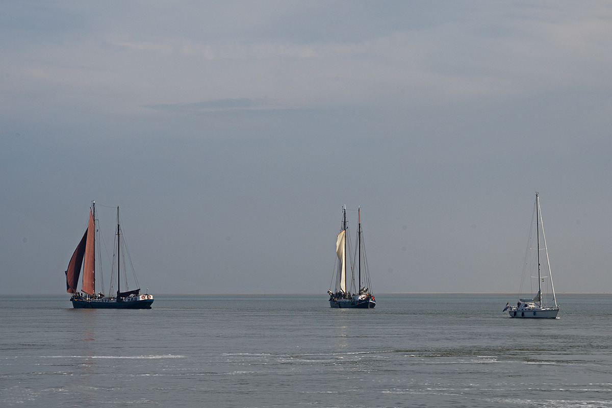 Vlieland – A Dutch Car-Free Island in the North Sea (30)