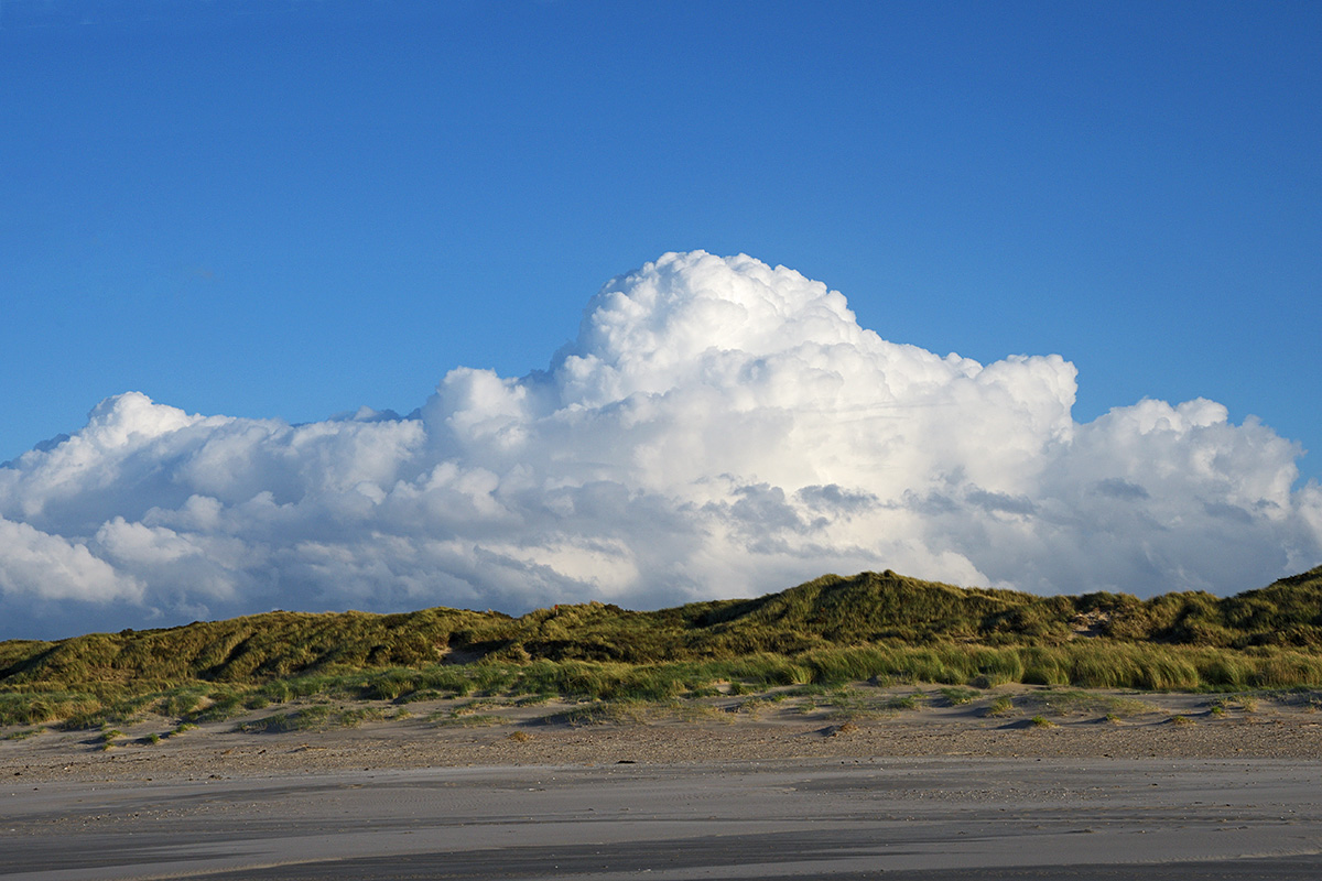 Vlieland – A Dutch Car-Free Island in the North Sea (31)