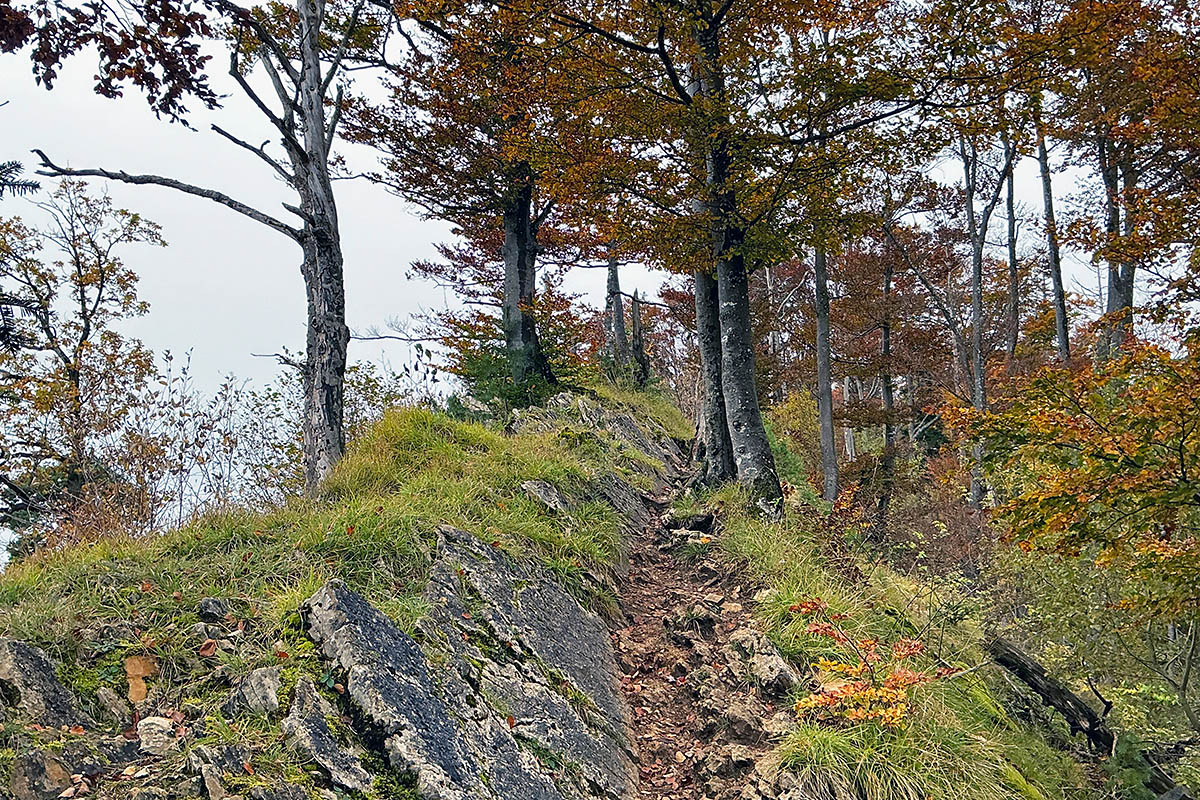 At the Fog Line in the Swiss Jura (14)