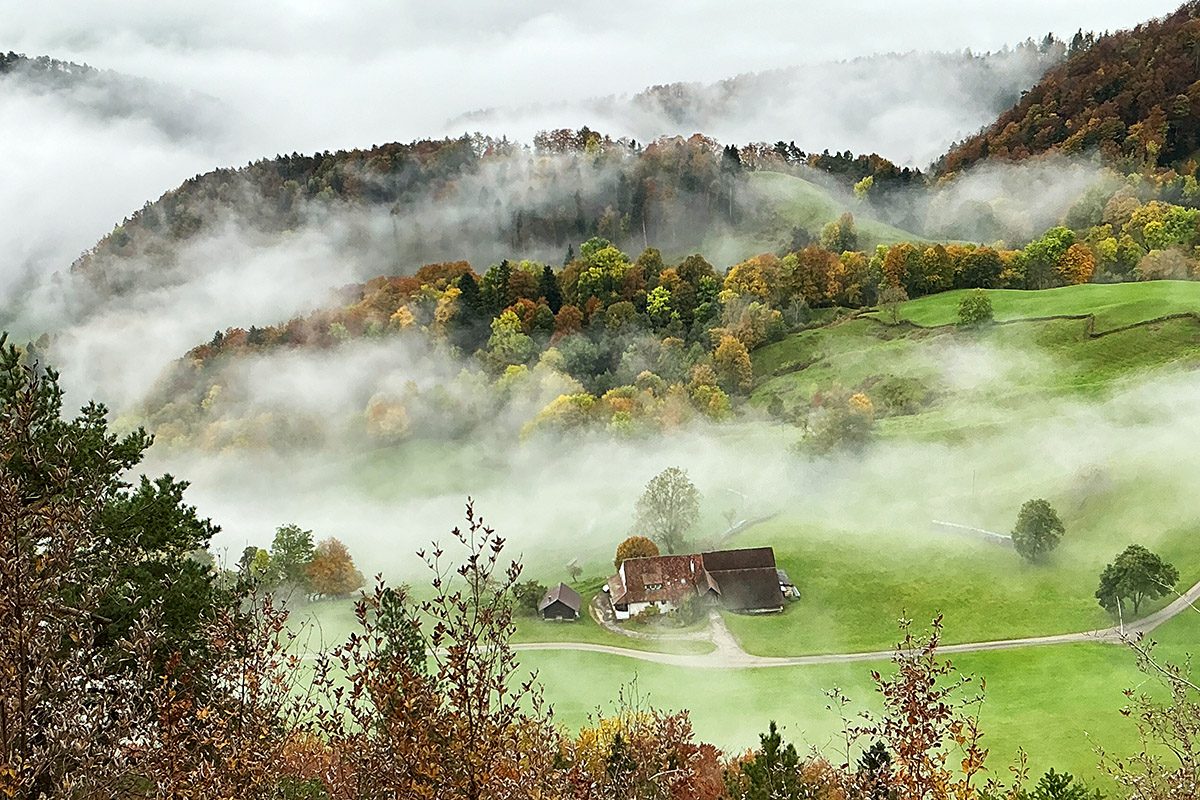 At the Fog Line in the Swiss Jura (15)