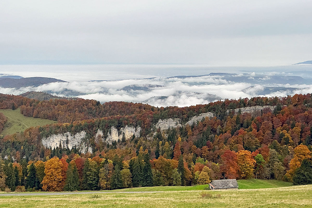 At the Fog Line in the Swiss Jura (16)
