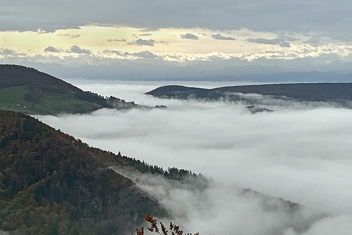 At the Fog Line in the Swiss Jura (17)
