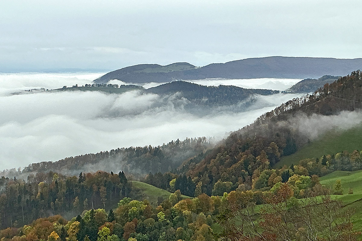 At the Fog Line in the Swiss Jura (18)