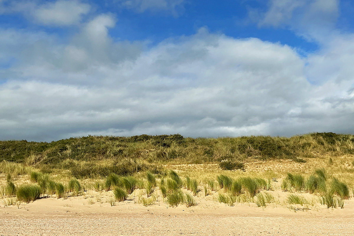 Vlieland – A Dutch Car-Free Island in the North Sea (37)
