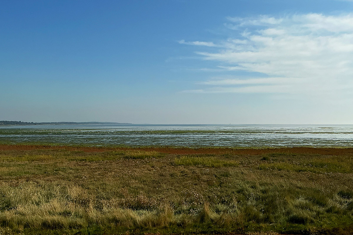 Vlieland – A Dutch Car-Free Island in the North Sea (38)