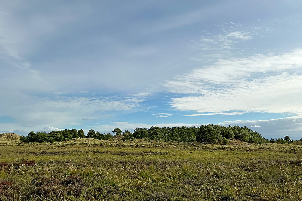 Vlieland – A Dutch Car-Free Island in the North Sea (44)