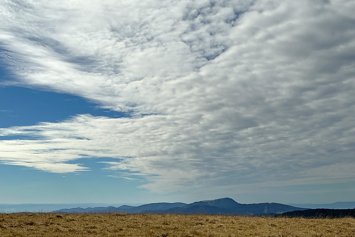 Hike Over the Summit of Feldberg (1,493 m, Black Forest) (5)