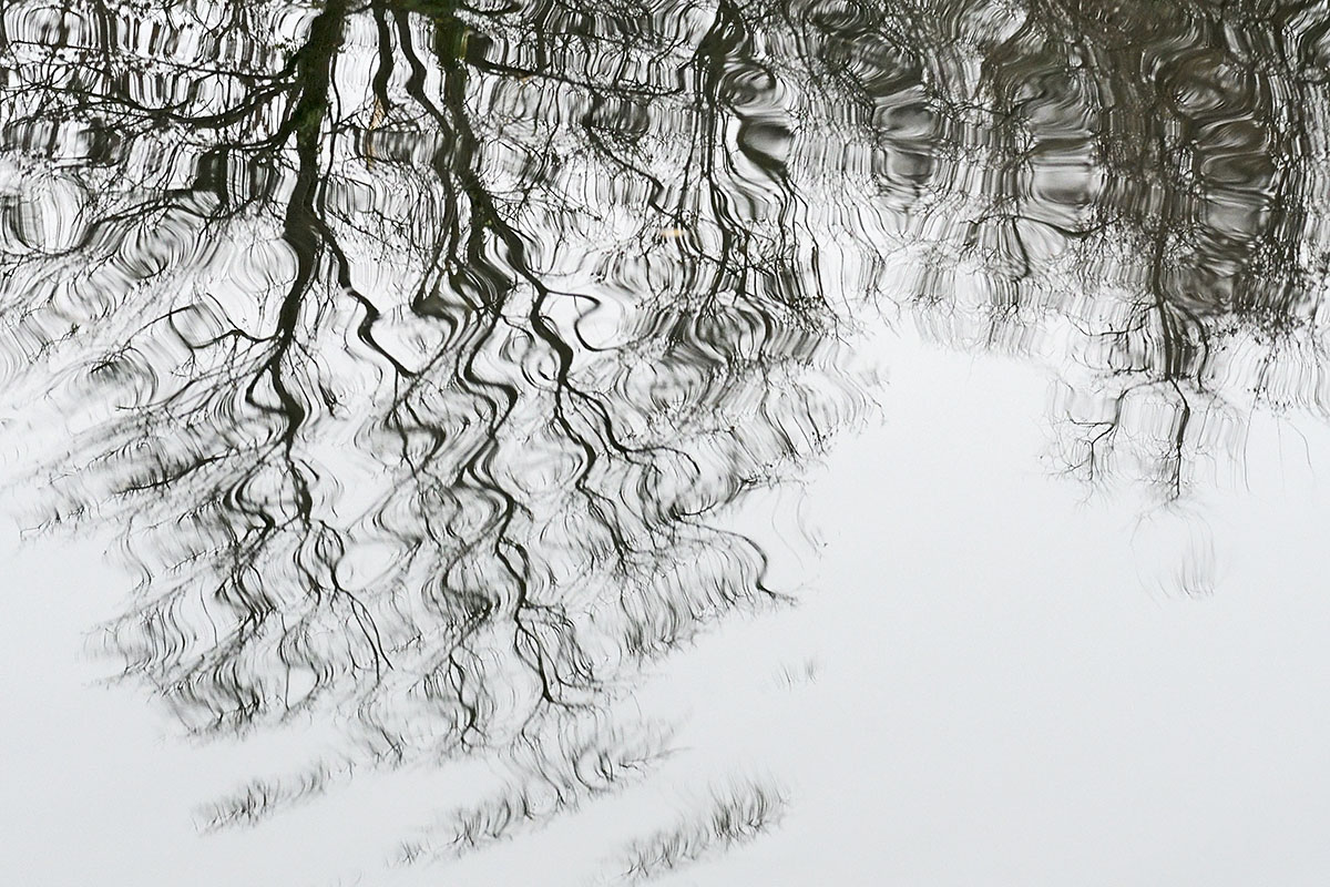 Reflections in Water (1)