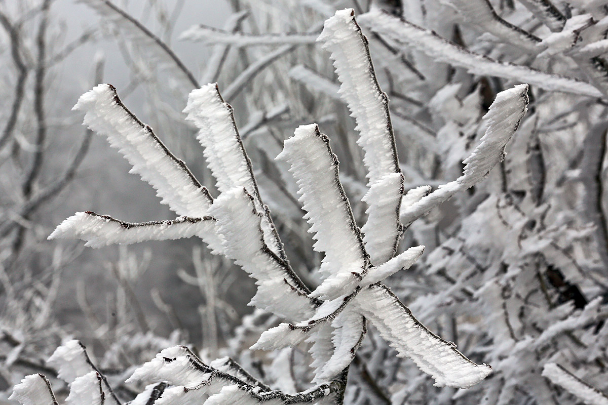 Snow Hike in the Swiss Jura Mountains (27)