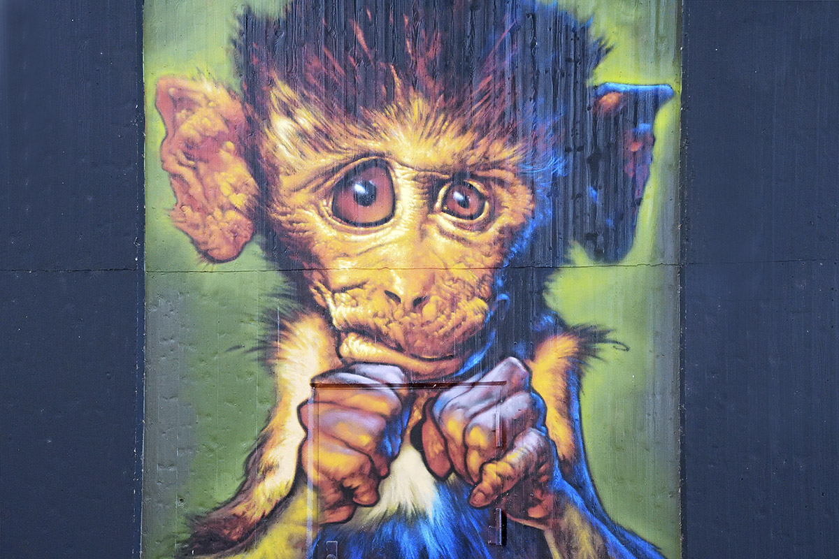 Street Art in Germany: Bridge Gallery Lörrach (8)