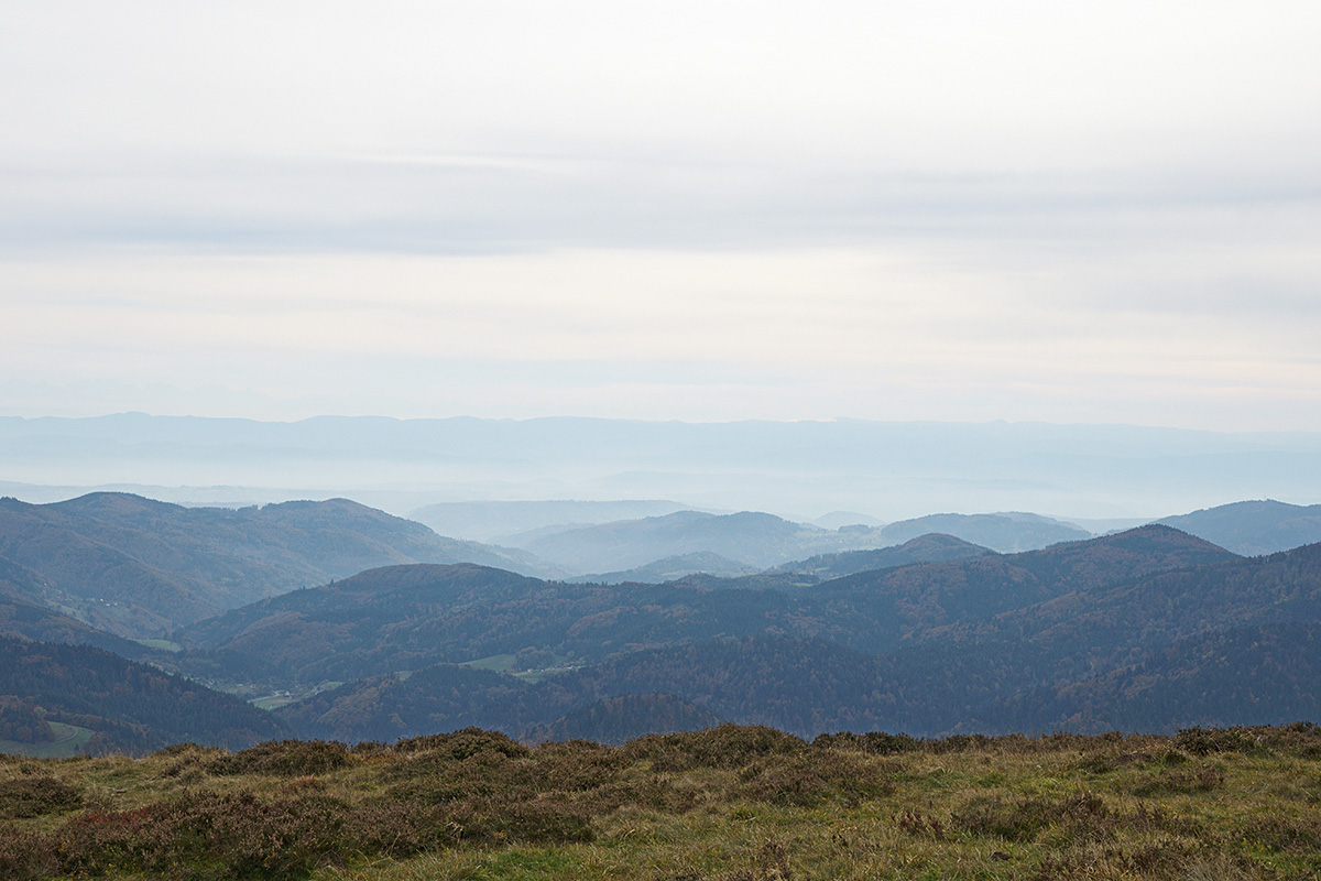 Hike Over the Summit of Belchen (1,414 m, Black Forest) (5)