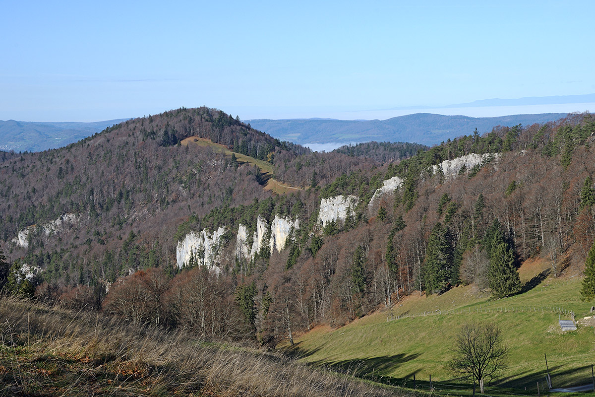 Autumn Hike in the Swiss Jura Mountains (32)