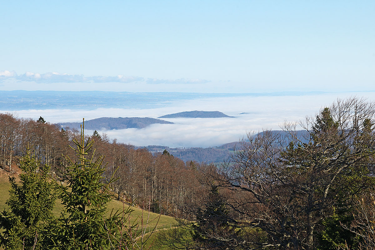 Autumn Hike in the Swiss Jura Mountains (33)