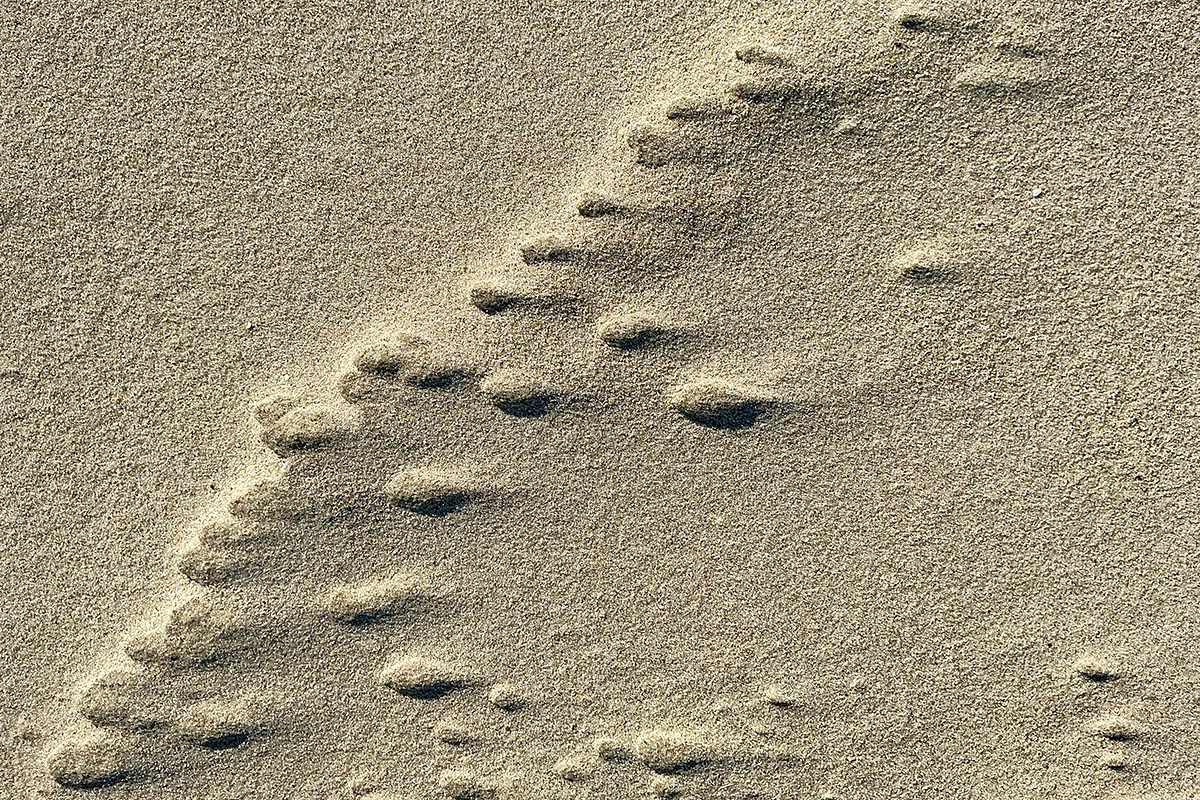 Vlieland – A Dutch Car-Free Island in the North Sea (56)