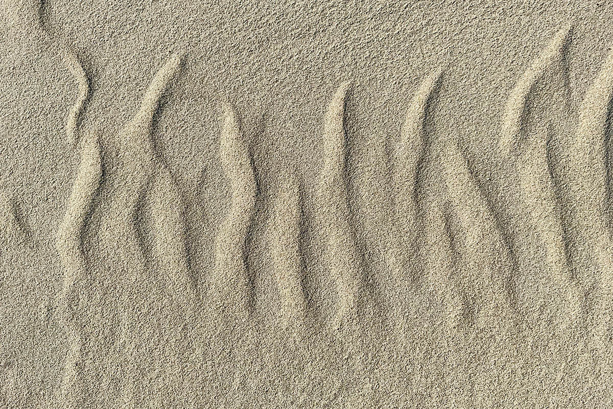 Vlieland – A Dutch Car-Free Island in the North Sea (57)