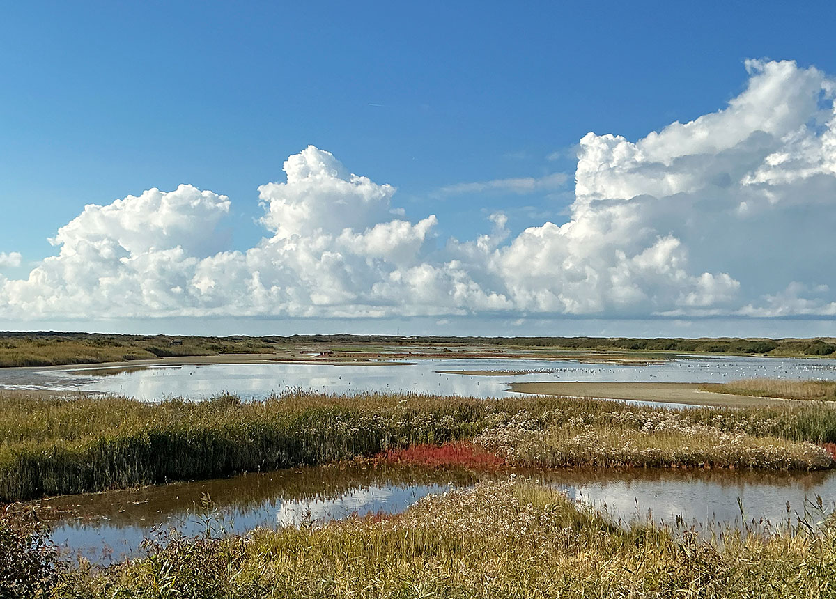 Vlieland – A Dutch Car-Free Island in the North Sea (59)