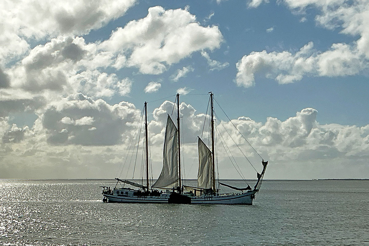 Vlieland – A Dutch Car-Free Island in the North Sea (61)