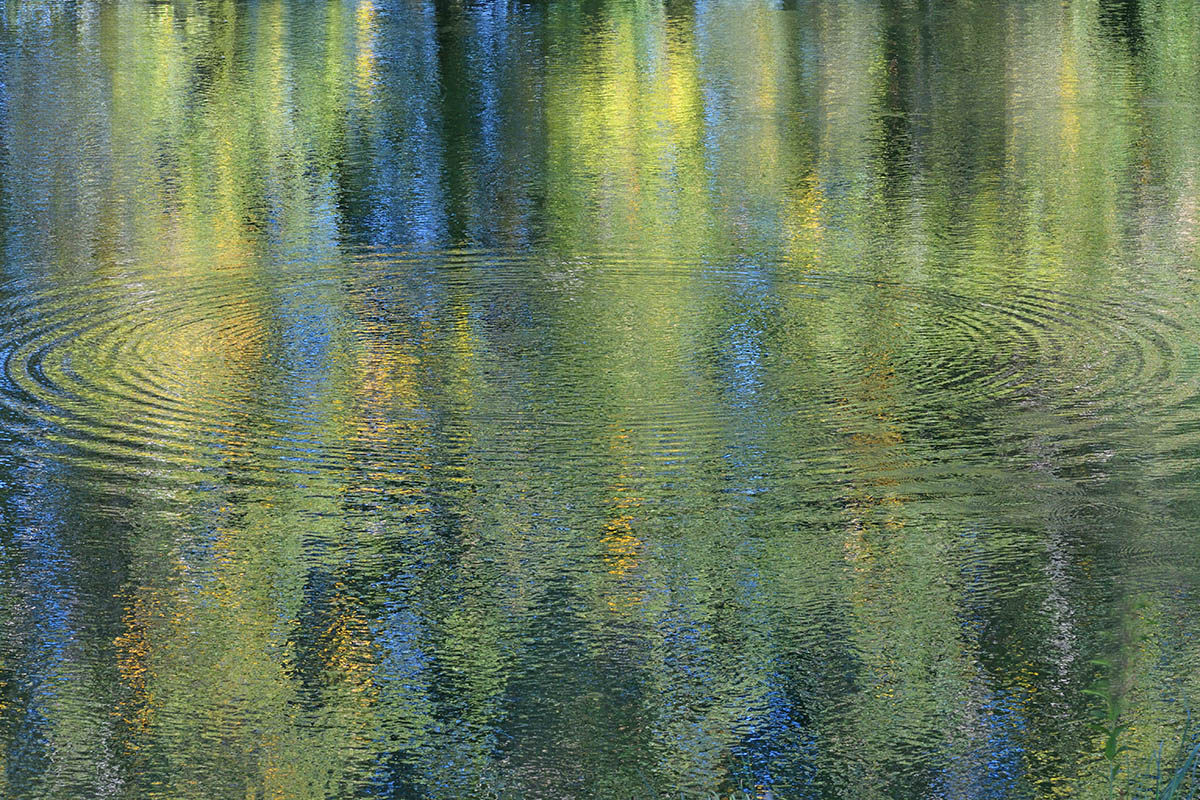 Mother Nature’s Artistry (8)